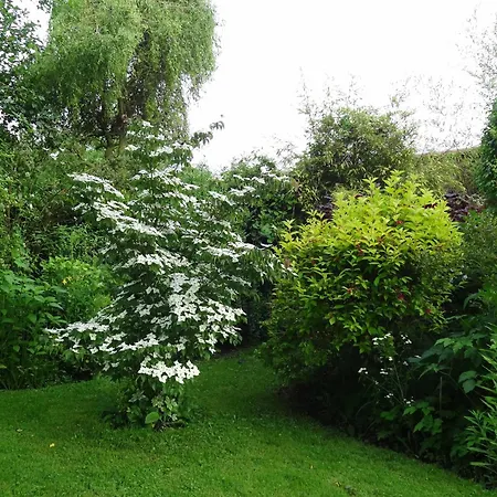 Le Rucher Et La Ruchette *